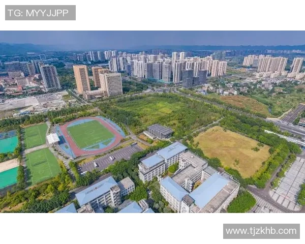 重庆乒乓球队实力分析与发展潜力探讨之全景观察 重庆乒乓球队实力分析与发展潜力探讨之全景观察