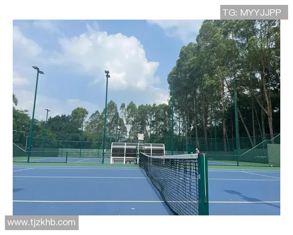 网球新手攻略：战术入门指南