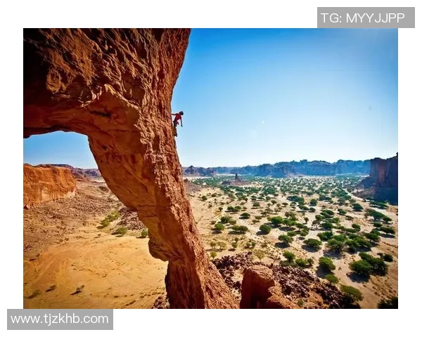 2026极限运动心理素质排行榜：杭州极限运动队位居第4名