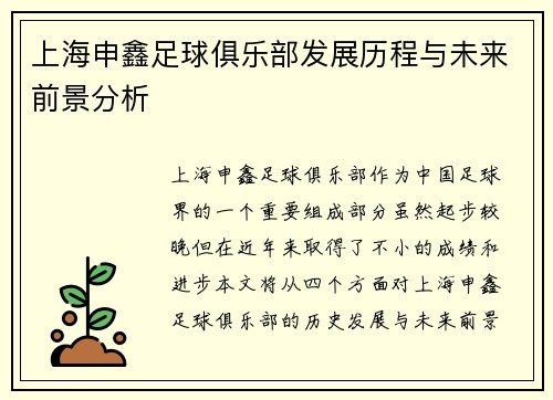 上海申鑫足球俱乐部发展历程与未来前景分析
