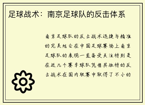 足球战术：南京足球队的反击体系